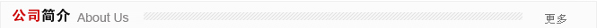 公司简介